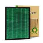 Coway Brand Original HEPA Filter for AirMega 150 (AP-1019C) Air Purifier, Green True HEPA Filter, Longest Filter Life of 8500 Hrs, Traps 99.99% Virus & PM 0.1 Particles