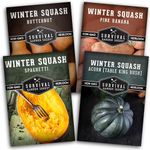 Winter Squash Seed Collection - Butternut, Acorn, Pink Banana, Spaghetti Squash - 4 Non-GMO Heirloom Vegetable Varieties for Planting and Growing in The Home Vegetable Garden - Survival Garden Seeds