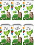 HowseHold Cat Grass Kit for Indoor Cats [6 PACK] Webbox Cat Grass Complete Easy Grow Kit with Seeds, Kitty Grass, Grass Planter, House Plant Alternative Tote Bag