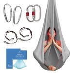 Aerial Yoga Hammock Aerial Silk Yoga Swing for Antigravity Yoga, Inversion Exercises, Improved Flexibility & Core Strength - Extension Straps, Carabiners and Pose Guide Included (Silver)