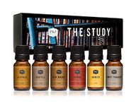 P&J Trading Fragrance Oil The Study Set | Leather, Coffee, Old Books, Cedar, Amber, Sweet Tobacco Candle Scents for Candle Making, Freshie Scents, Soap Making Supplies, Diffuser Oil Scents