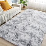 8 By 10 Shag Rug