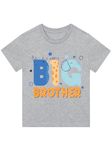 Harry Bear Boys T Shirt | Big Brother T-Shirt | Summer Top for Boys | Grey 3-4 Years