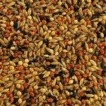 MAF Megha Farms Bird Feed Sparrow Feed Seeds 900Gm For All Small Wild Birds, House Sparrows, Finches, Indian Munias