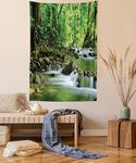 Ambesonne Rainforest Tapestry Queen Size, Mountain Stream in a Tropical Rain Forest Foliage Countryside Wilderness Scene, Wall Hanging Bedspread Bed Cover Wall Decor, Queen Size, Green Brown