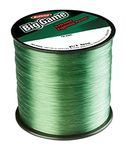 Berkley Trilene Big Game 1/4 lb Spool, 20 lbs, 2600 Yards, Green by Berkley