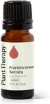 Plant Therapy Frankincense Serrata Essential Oil. 100% Pure, Undiluted, Therapeutic Grade. 10 mL (1/3 Ounce).