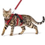 PUPTECK Cat Harness and Leash Set Escape Proof for Walking, Breathable Mash Vest Adjustable Harness for Cats Puppy Small Animals, Reflective at Night, Red Medium