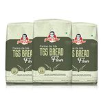 JOSEF MARC Farine De Ble T65 Bread Flour, 4 Lbs - Unbleached & High Protein Flour, All Purpose Bread Flour. 5400 gram (Pack Of 3)