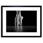 Poster Ballet Shoes