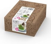 Catit Cat Grass Kit for The Catit Senses Grass Planter, Pack of 15