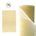 Elysian Plastic Mosquito Mesh Net, Mosquito Screen Curtain, Invisible Window Mosquito Insect Screen Net Mesh Protector for Flies and Bugs (Width-4Ft) 10 Meter