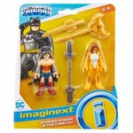 Fisher-Price ENVI Fisher Price Dc Super Friends Batman Imaginext (Wonder Woman + The Cheetah)