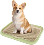 Dog Potty Tray, 23.6"x17.7" Indoor Pet Pee Pad Holder,Puppy Training Holder,Bathroom Dog Litter Box, Pet Toilet for Small and Medium Dogs,Housebreaking Supplies, Pet Products (Green)