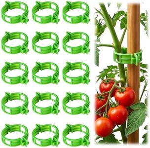 100pcs Tom