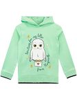 Harry Potter Sweater | Hedwig Girls Hoodie | Sweater for Kids Green 12