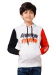 Alan Jones Clothing Boys Cotton Blend Hooded Neck Sweatshirt (BOY21-HD01-LGREY-11.12YRS_Light Grey_11Years-12Years)