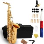 5DEDO Eb ALTO Saxophone for Beginne