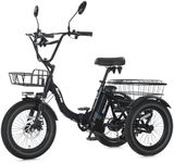 NARRAK Electric Tricycle for Adults