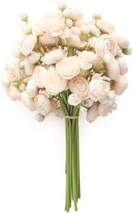 Floroom Ra