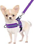 SlowTon No Pull Small Dog Harness a