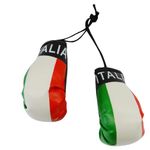 Italia Italy Country Flag Mini Boxing Gloves to Hang Over Your Automobile Mirror New by SUPERDAVVES SUPERSTORE