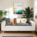 LiveGo Thick Sofa Covers Washable, Soft Fuzzy Couch Protector for Pets, Non-Slip Dog Couch Cover for 2, 3, 4 Seater Sofas, Furniture Protector for Living Room, Washable Pet Sofa Slipcover