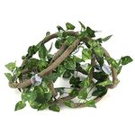 Reptile Vines, 9.84ft Flexible Artificial Reptile Jungle Rattan and 6.89ft Long Vine with Suction Cups Terrarium Habitat Decor for Gecko Chameleon(9.84ft Rattan+Scindapsus Leaves)