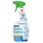 Enzyme Cleaner for Pets | Made in Canada | Pet Odor Eliminator and Powerful Probiotic Enzyme Cleaner for Cat Urine, Dog Pee, Pet Messes [946 mL Fragrance Free]
