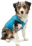 Kurgo Loft Dog Jacket, Reversible D