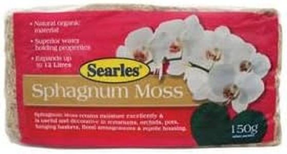 Searles Sp