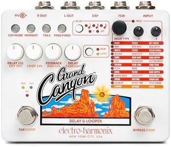 Electro-Harmonix Grand Canyon Delay & Looper Pedal