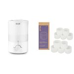 LEVOIT Humidifier for Bedroom Large Room, Top Fill Cool Mist Humidifiers for Plant & 10-Pack Humidifier Replacement Filters, Capture Fine Particles in Water Tank to Improve Humidification Efficiency