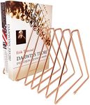 JIARI Decorative Book Organizer Magazine Holder, Desktop File Sorter Organizer Bookshelf Bookends Book End, Telescopic Metal Bookend 7 Section (Rose Gold)