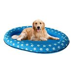 Raft For Dog