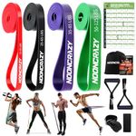 nooncrazy Resistance Bands Set, Pull Up Assistance Bands 4 Different Levels with Handles & Door Anchor & Training Poster, Gym Bands for Strength Training, Yoga, Muscle Toning for Men and Women