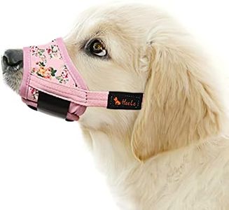 HEELE Dog 