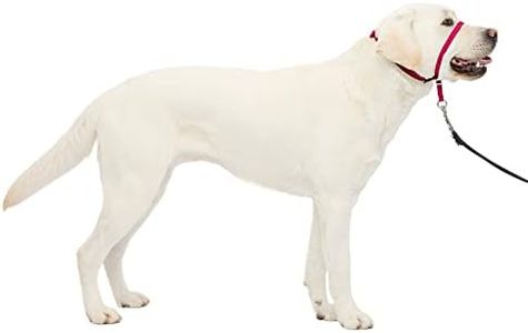 PetSafe Gentle Leader Head Collar with Training DVD, Large 60-130 LBS, Raspberry Pink