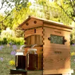 Active Hive Bee Hives Boxes Starter