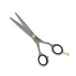 VEGA PROFESSIONAL Pro Style Satin E 5" Silver line Hairdressing Scissor, (VPMSC-13)