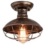 Qcyuui Industrial Ceiling Light with Metal Cage, E27 Semi-Flush Pendant Lighting Fixture, Oil Rubbed Bronze Chandelier for Farmhouse Porch Kitchen Bathroom