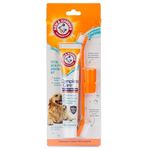 Arm & Hammer Dog Dental Kit - Enzymatic Dog Toothpaste 2.5 oz