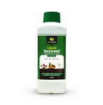 GREENFINITY Seaweed Pro Liquid Concentrate For Indoor & Outdoor Plants With Measuring Cup | Growth Booster Liquid Fertilizer | 250ml