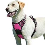 Eagloo Dog Harness No Pull, Walking Pet Harness with 2 Metal Rings and Handle, Adjustable Reflective Breathable Oxford Soft Vest Easy Control Harness for Small Medium Large Dogs, Rose Red, L