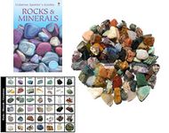 Bulk 4-Pound Rock Rough from Brazil, Madagascar and India, Stone Mix with Identification Card and Book - Great for Sorting, Tumbling, gem Mining, polishing and More!