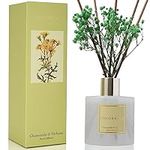 Cocorrína Reed Diffuser Sets - 6.7 