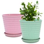 Eha Set of 2 Earth-Friendly Linea 7.5" Pots for Plants | Bamboo Based Plant Pots | UV Protected | Flower Pot for Indoor, Home Decor, Outdoor, Balcony & Garden | Inno-Celeste