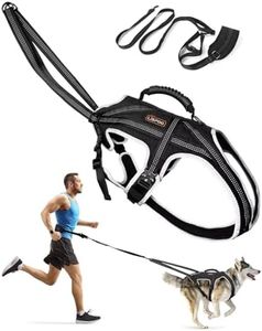 LISPOO Dog Pulling Harness for Running, Skiing, Biking & Weight Pulling – Adjustable Sled Dog Harness with Leash & Waist Leash Attachment for Medium & Large Breeds (XL)