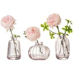 Glass Bud Vase Set of 3, Decorative Small Vase for Table Living Room Bedroom Home Office Kitchen Decor, Pink