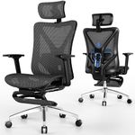 GABRYLLY Ergonomic Office Chair wit